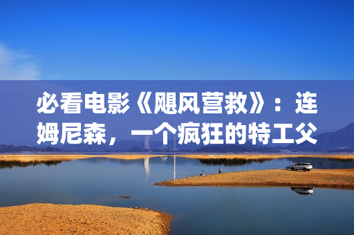 必看电影《飓风营救》：连姆尼森，一个疯狂的特工父亲，让人泪目(电影 飓风)