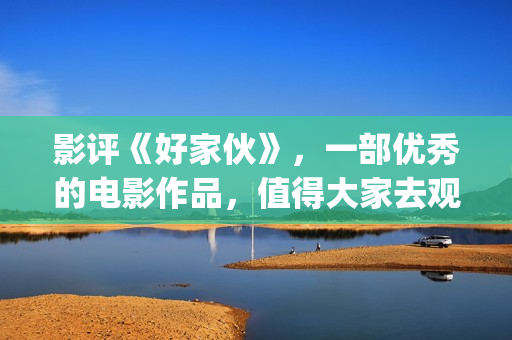 影评《好家伙》，一部优秀的电影作品，值得大家去观看！(影评《好家伙》在线观看)