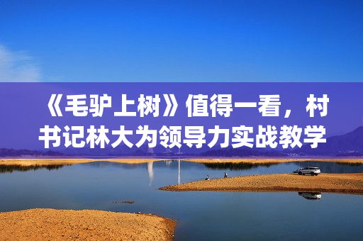 《毛驴上树》值得一看，村书记林大为领导力实战教学，学到就赚了(《毛驴上树》值得看吗)