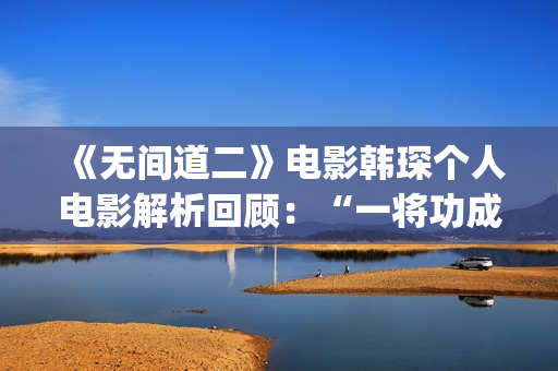 《无间道二》电影韩琛个人电影解析回顾：“一将功成万骨枯”(《无间道二》电影演员表)