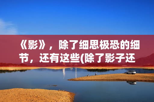 《影》，除了细思极恐的细节，还有这些(除了影子还有什么会对你不离不弃)