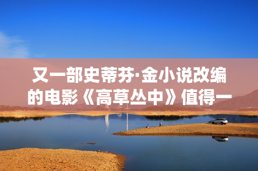 又一部史蒂芬·金小说改编的电影《高草丛中》值得一看(史蒂芬ricci)