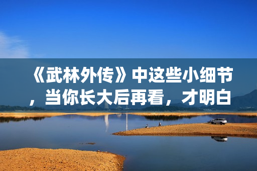 《武林外传》中这些小细节，当你长大后再看，才明白社会的险恶！(武林外传中小郭最拿手的菜是什么菜)