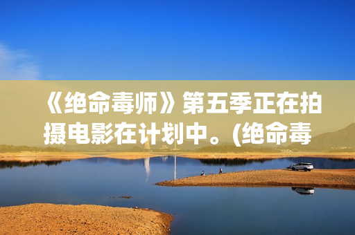 《绝命毒师》第五季正在拍摄电影在计划中。(绝命毒师第一季免费观看高清)