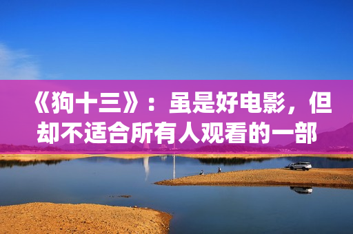 《狗十三》：虽是好电影，但却不适合所有人观看的一部电影！(狗十三讲得是什么)