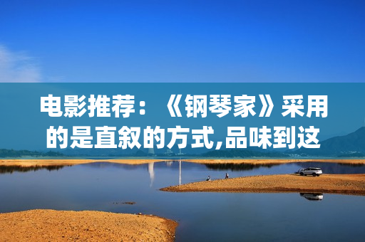 电影推荐：《钢琴家》采用的是直叙的方式,品味到这部史诗电影的历史厚重感(钢电影剧情)