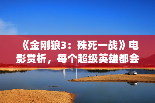 《金刚狼3：殊死一战》电影赏析，每个超级英雄都会有终章(金刚狼3:殊死一)