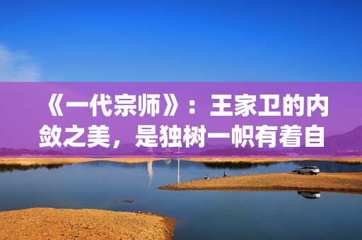 《一代宗师》：王家卫的内敛之美，是独树一帜有着自己独特味道的(一代宗师演员表)