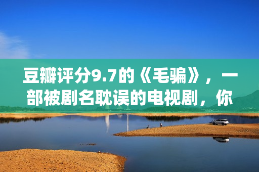 豆瓣评分9.7的《毛骗》，一部被剧名耽误的电视剧，你看过没？(豆瓣评分9.0以上的)
