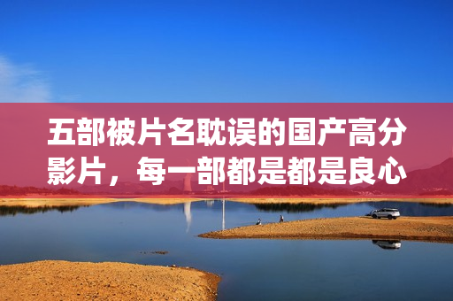 五部被片名耽误的国产高分影片，每一部都是都是良心之作(被耽误了的电影明星)