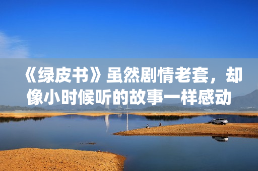 《绿皮书》虽然剧情老套，却像小时候听的故事一样感动，回味无穷(绿皮书背后的深意)