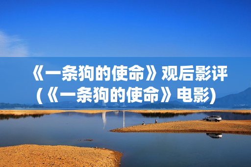《一条狗的使命》观后影评(《一条狗的使命》电影)