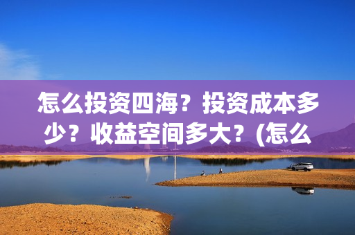怎么投资四海？投资成本多少？收益空间多大？(怎么投资四海集团公司)