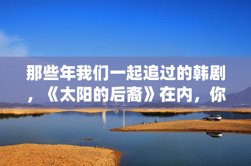 那些年我们一起追过的韩剧，《太阳的后裔》在内，你看过几部呢？(那些年我们一起追的女孩在线观看)