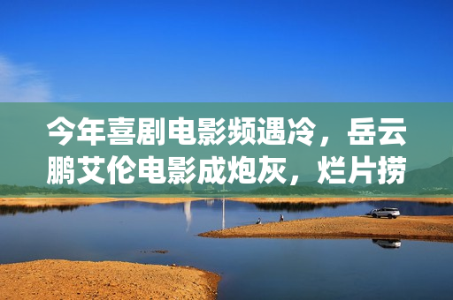 今年喜剧电影频遇冷，岳云鹏艾伦电影成炮灰，烂片捞钱时代已过(今年有哪些喜剧电影)