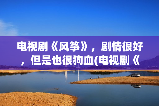 电视剧《风筝》，剧情很好，但是也很狗血(电视剧《风筝》在线观看)
