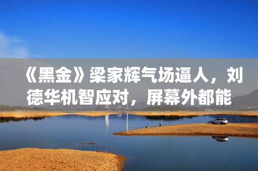 《黑金》梁家辉气场逼人，刘德华机智应对，屏幕外都能感觉到寒气(《黑金》梁家辉做旗袍)