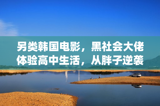 另类韩国电影，黑社会大佬体验高中生活，从胖子逆袭成男神！(另类韩国电影网站)