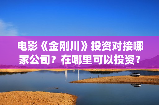 电影《金刚川》投资对接哪家公司？在哪里可以投资？制作成本多少？(电影金刚川观后感)