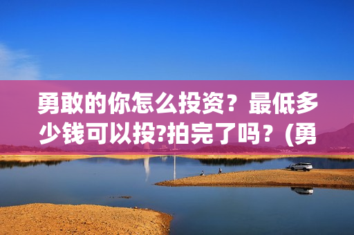 勇敢的你怎么投资？最低多少钱可以投?拍完了吗？(勇敢的你投资多少钱)