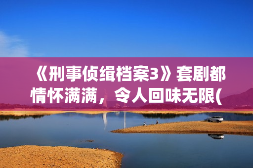 《刑事侦缉档案3》套剧都情怀满满，令人回味无限(刑事侦缉档案2)