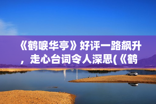《鹤唳华亭》好评一路飙升，走心台词令人深思(《鹤唳华亭》好词好句)