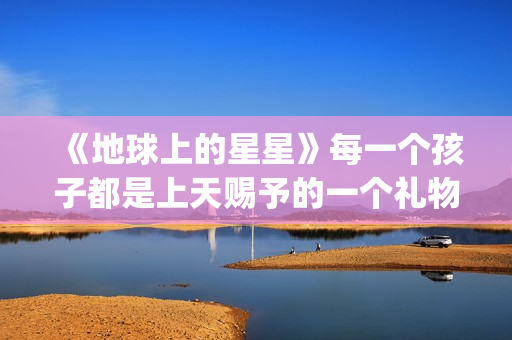 《地球上的星星》每一个孩子都是上天赐予的一个礼物(地球上的星星观后感)