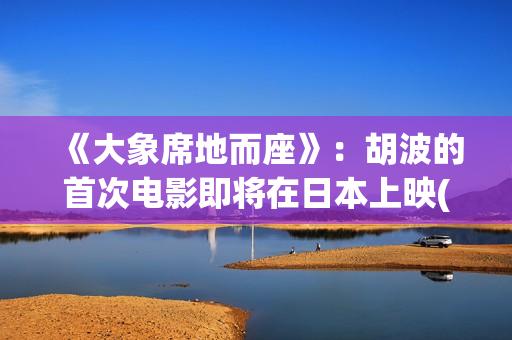 《大象席地而座》：胡波的首次电影即将在日本上映(大象席地而坐 海报)