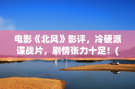 电影《北风》影评，冷硬派谍战片，剧情张力十足！(北风 电影)