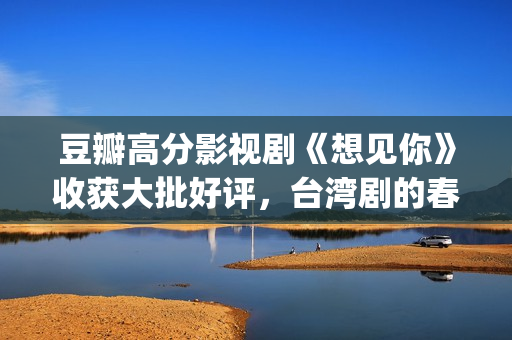 豆瓣高分影视剧《想见你》收获大批好评，台湾剧的春天又来了？(豆瓣 高分电视剧)