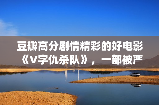 豆瓣高分剧情精彩的好电影《V字仇杀队》，一部被严重低估的大作(豆瓣高分剧情精选)