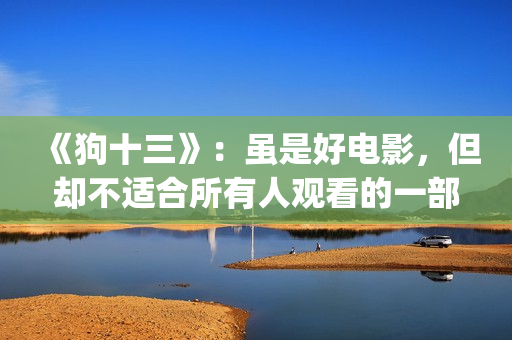 《狗十三》：虽是好电影，但却不适合所有人观看的一部电影！(狗十三改编自哪部小说)