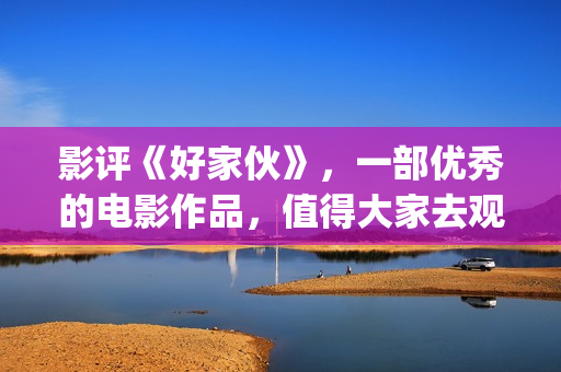 影评《好家伙》，一部优秀的电影作品，值得大家去观看！(好家伙影评全面解析)