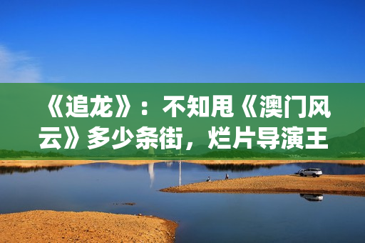 《追龙》：不知甩《澳门风云》多少条街，烂片导演王晶的翻身之作(分钟看完追龙)