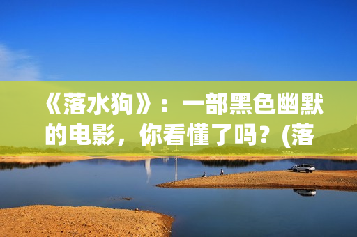 《落水狗》：一部黑色幽默的电影，你看懂了吗？(落水狗这部电影想要表达什么)