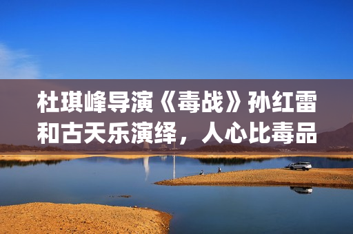 杜琪峰导演《毒战》孙红雷和古天乐演绎，人心比毒品更可怕(杜琪峰dvd)