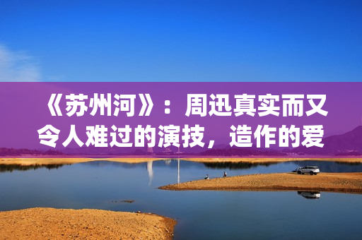 《苏州河》：周迅真实而又令人难过的演技，造作的爱情更显动人(苏州河周迅)