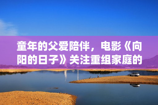 童年的父爱陪伴，电影《向阳的日子》关注重组家庭的亲子教育(父亲陪伴童年为题作文)