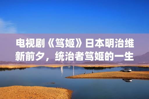 电视剧《笃姬》日本明治维新前夕，统治者笃姬的一生(笃姬剧照)