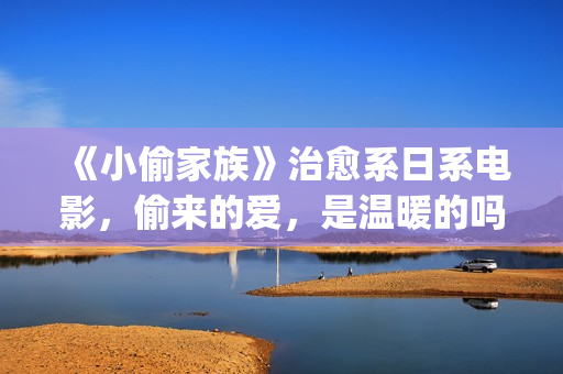 《小偷家族》治愈系日系电影，偷来的爱，是温暖的吗？(小偷家族小偷家族)