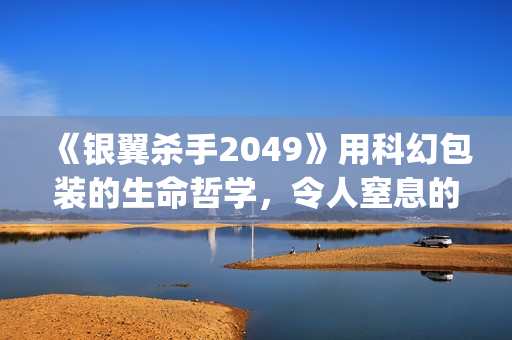 《银翼杀手2049》用科幻包装的生命哲学，令人窒息的视觉震撼(银翼杀手2049剧情解析)
