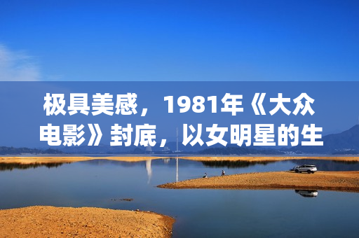 极具美感，1981年《大众电影》封底，以女明星的生活照片为主(极至的美)