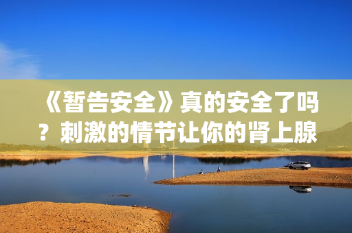 《暂告安全》真的安全了吗？刺激的情节让你的肾上腺素狂飙！(暂告安全中文版)