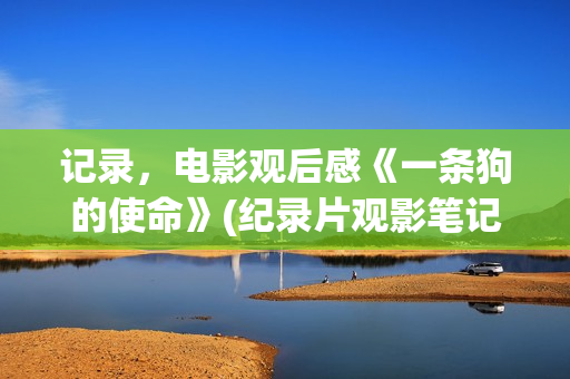 记录，电影观后感《一条狗的使命》(纪录片观影笔记怎么写)