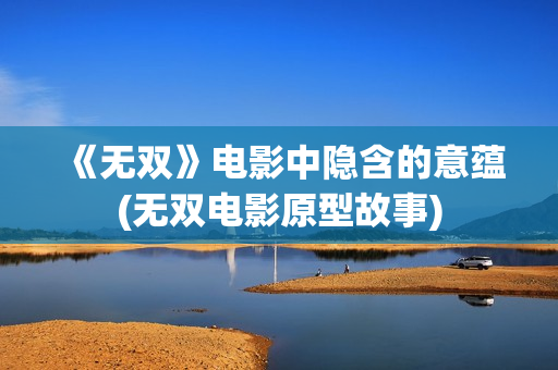 《无双》电影中隐含的意蕴(无双电影原型故事)