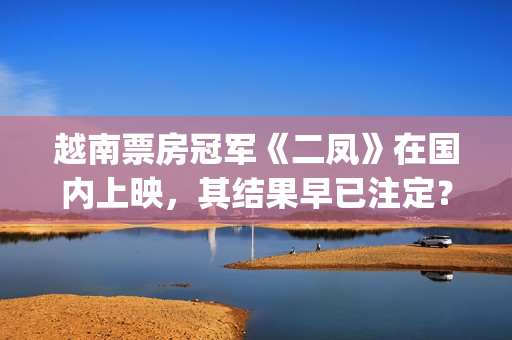 越南票房冠军《二凤》在国内上映，其结果早已注定？(越南出名电影)