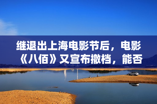 继退出上海电影节后，电影《八佰》又宣布撤档，能否上映成谜(上海电影节导演)