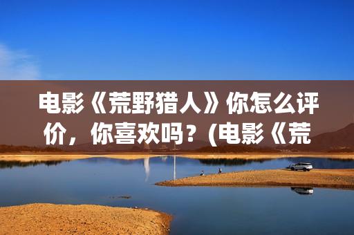 电影《荒野猎人》你怎么评价，你喜欢吗？(电影《荒野猎人》在线观看)