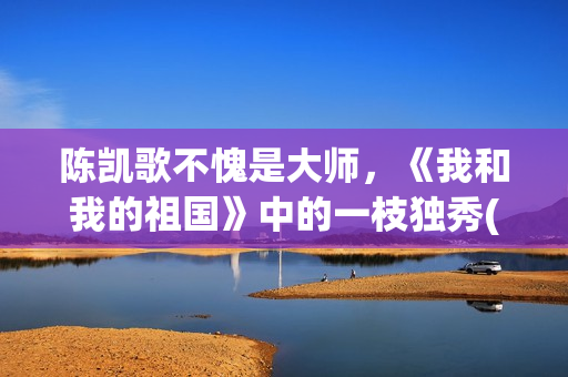 陈凯歌不愧是大师，《我和我的祖国》中的一枝独秀(陈凯歌陈)