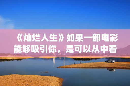 《灿烂人生》如果一部电影能够吸引你，是可以从中看到自己的影子(灿烂人生 who can)